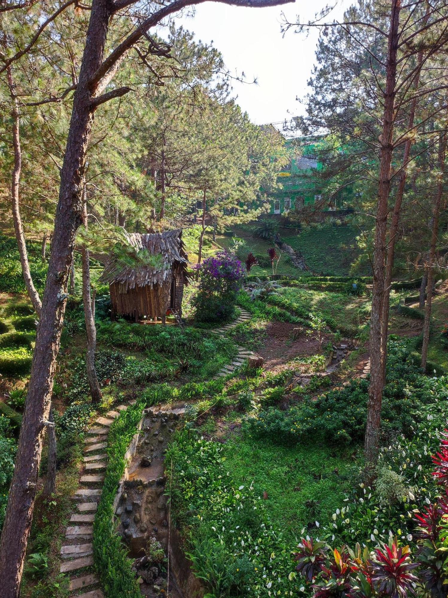 Rung Hoa Hotel Dalat Exteriér fotografie